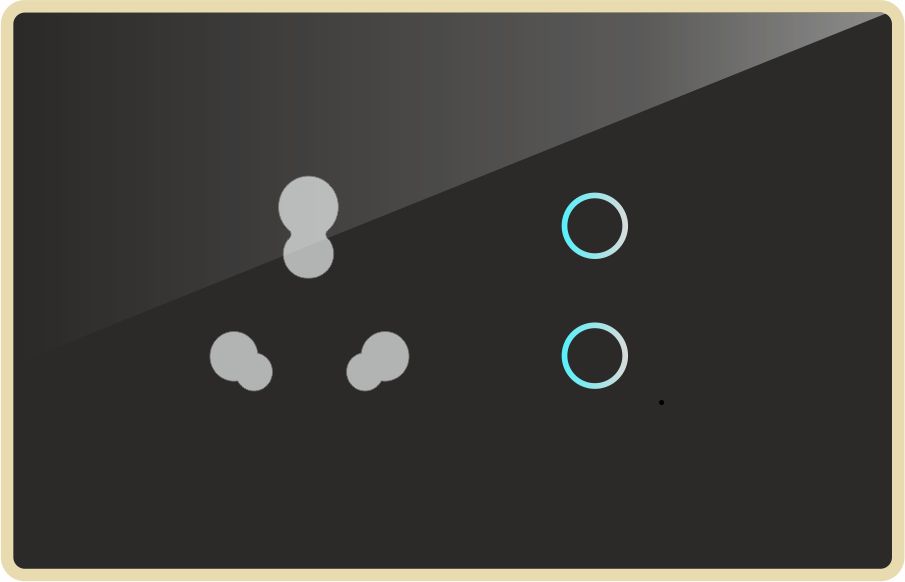Description of device 1